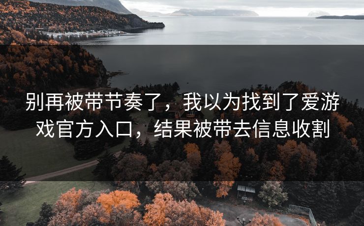 别再被带节奏了,我以为找到了爱游戏官方入口,结果被带去信息收割 别再被带节奏了,我以为找到了爱游戏官方入口,结果被带去信息收割